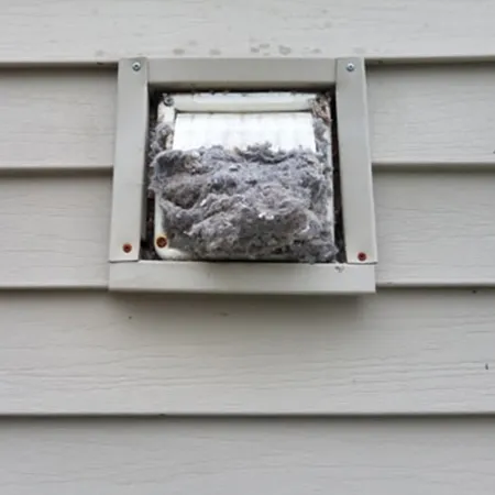 Outdoor dryer vent clogged with lint, requiring professional air duct mold removal services for better airflow.