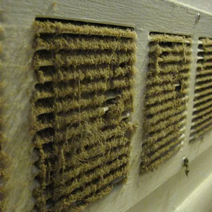 Air vent grille heavily coated with dust and mold buildup emphasizing need for professional air duct mold removal in Green Bay WI.