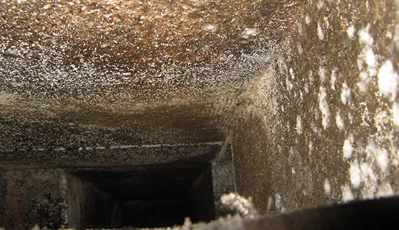 Effective air duct mold removal services addressing mold contamination in HVAC ducts in Manitowoc WI.