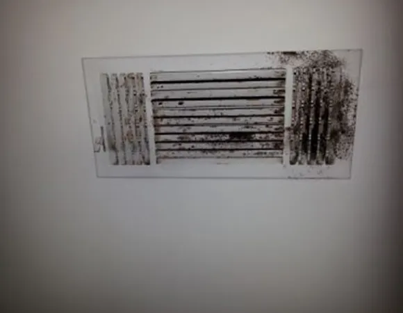 Residential air vent cover with significant mold growth needing expert mold remediation in Sheboygan WI.