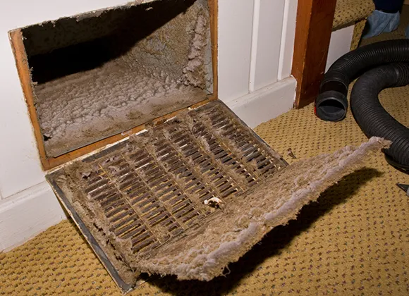 Expert air duct mold removal service showing dirty furnace air filter clogged with dust and mold in West Bend WI.