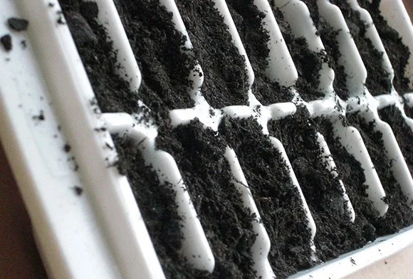 Close-up image of black mold growth clusters on air duct surface needing safe removal in Brookfield WI.