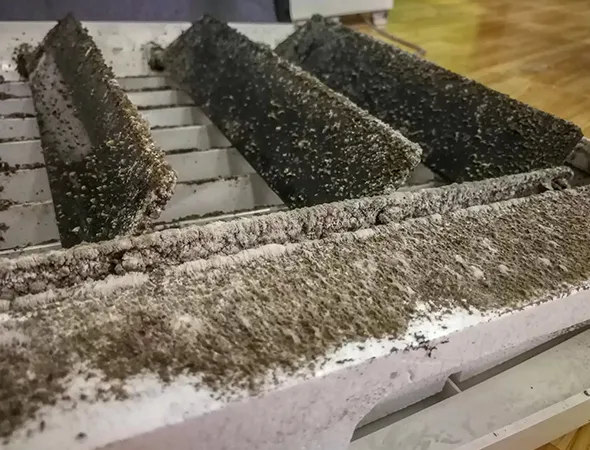 Close-up of mold-contaminated air duct grilles requiring professional mold removal in Janesville WI.