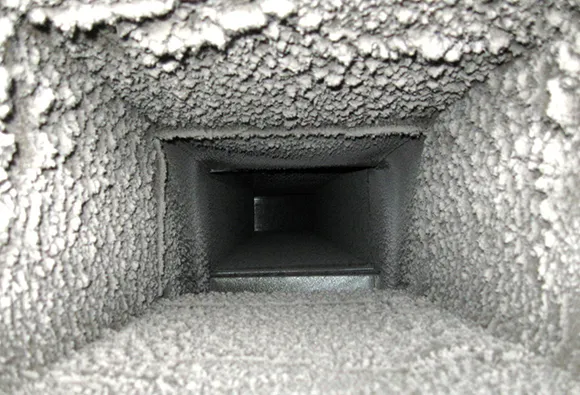 Close-up of air duct interior showing heavy mold buildup before mold removal service.