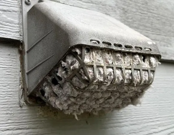 Outdoor dryer vent exhaust clogged with dense lint buildup needing thorough cleaning in Green Bay WI.